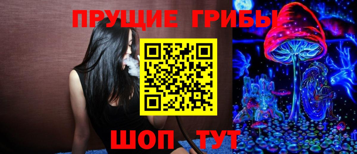 Галлюциногенные грибы GOLDEN TEACHER Богородицк